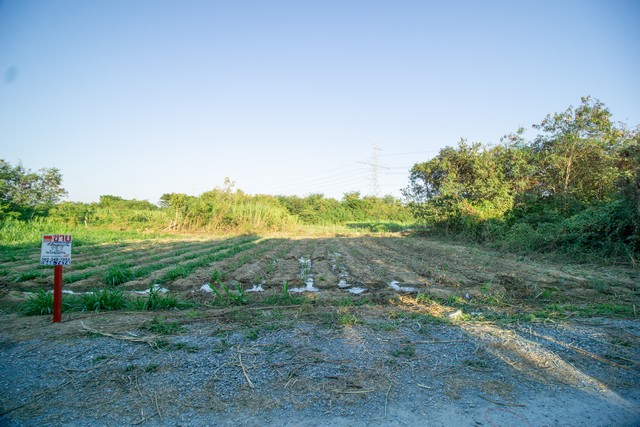 ขาย ที่ดิน ถมแล้ว แปลงสวย ต.ทุ่งบัว อ.กำแพงแสน จ.นครปฐม ใกล้ ม.เกษตรฯ กำแพงแสน