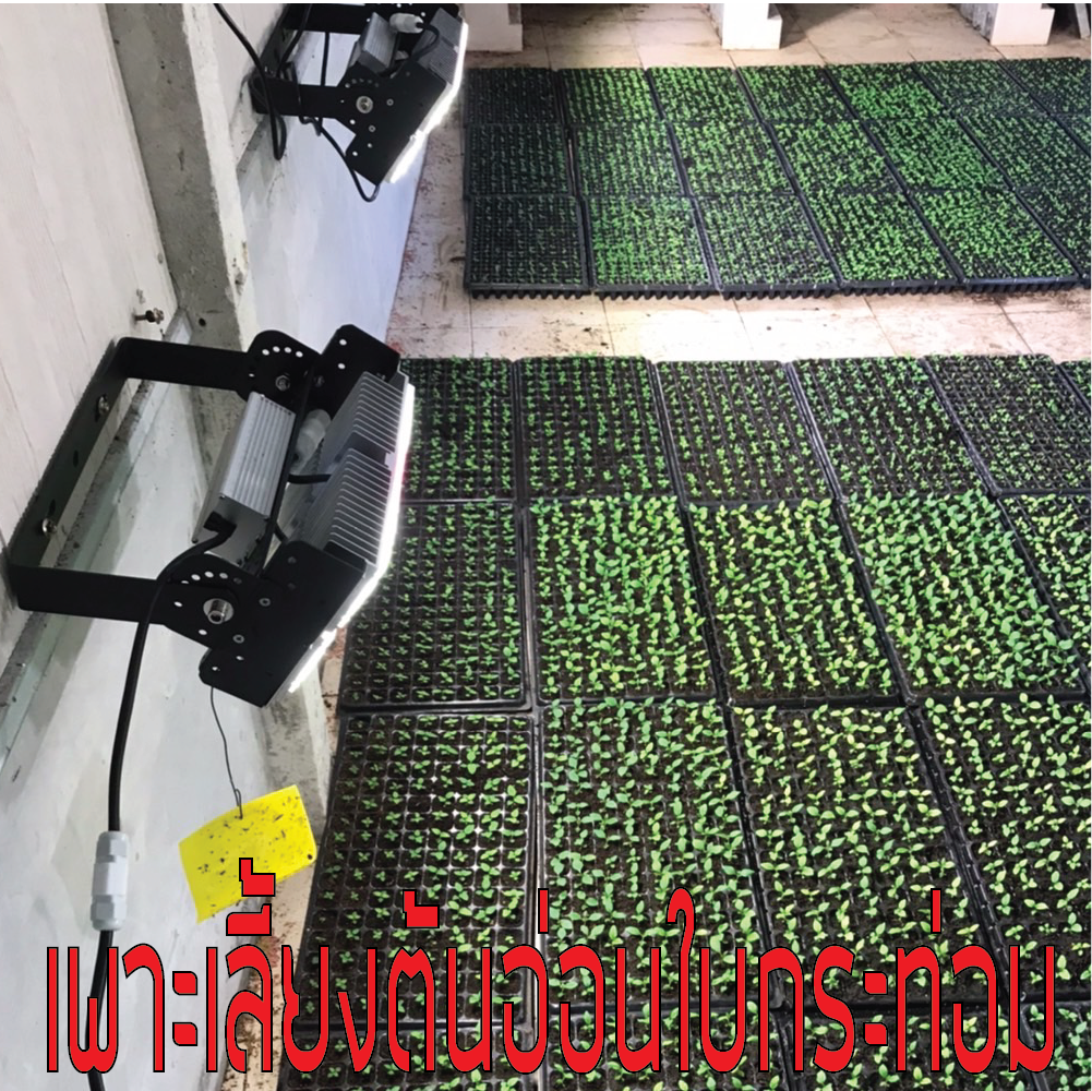 โคมไฟปลูกต้นไม้ GOD-50W LED Grow Light AC 220V ไฟปลูกต้นไม้ ต้นไม้โตเร็วทันใช้ ไฟปลูกพืช ไฟไม้ใบ ไฟปลูกมอนเตอร่า ไฟสีเหลืองทอง 3250K มี LED 660nm