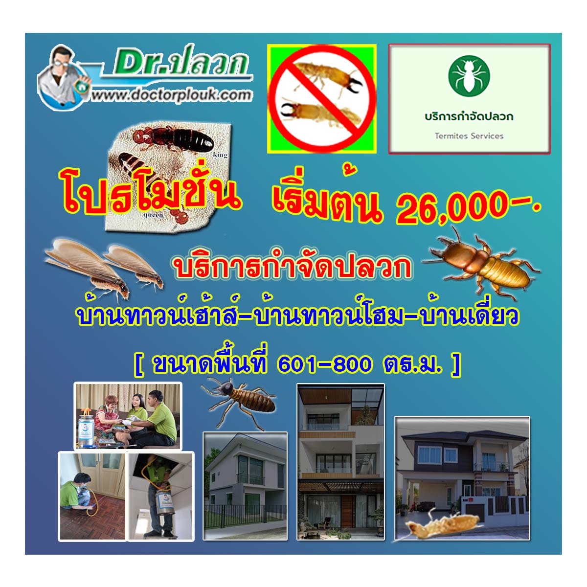 Dr.ปลวก [บริการกำจัดปลวก] บ้านทาวน์เฮ้าส์-บ้านทาวน์โฮม-บ้านเดี่ยว (ขนาดพื้นที่ 601-800 ตร.ม.)