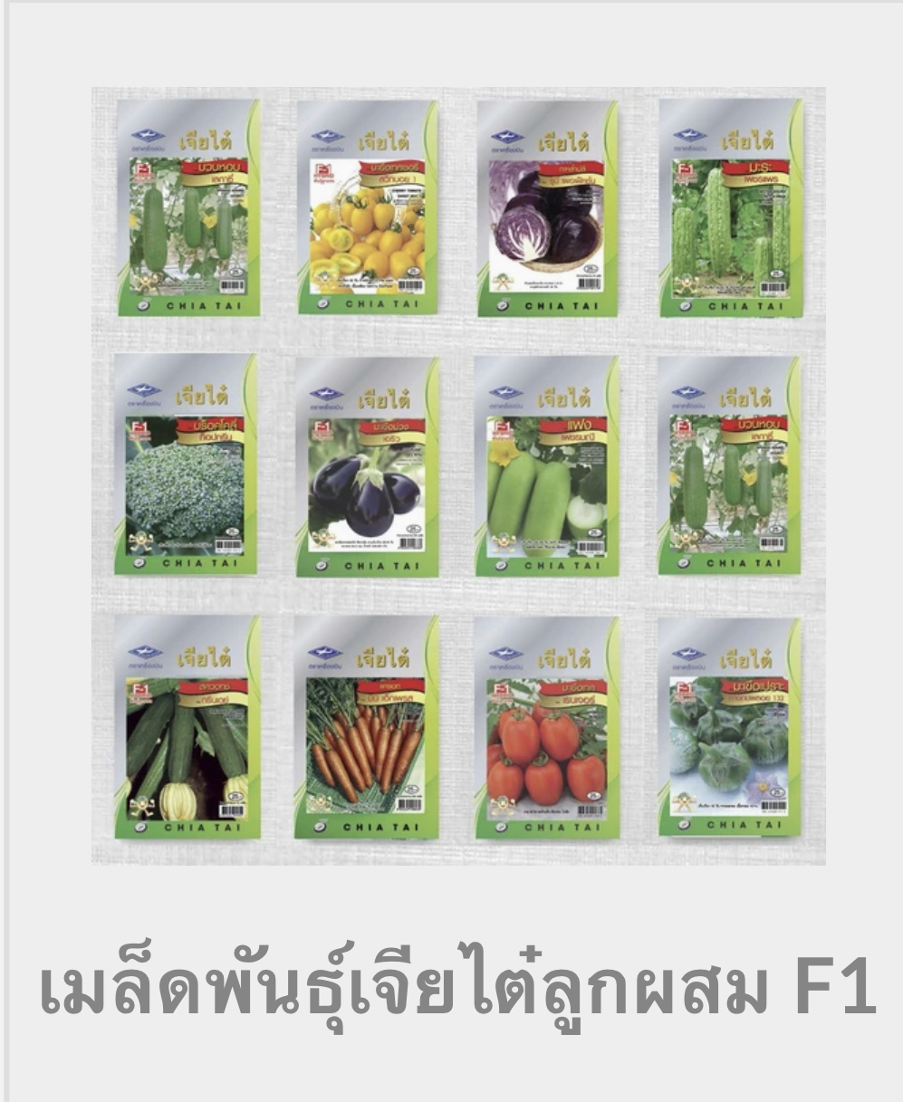 ผักซองเจียไต๋ F1 25 บ