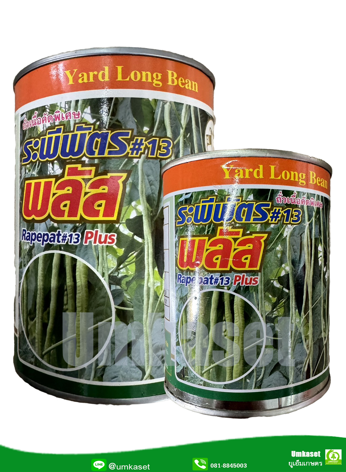 ถั่วฝักยาว ระพีพัตร #13 พลัส ตราแพะทอง (100 กรัม, 500 กรัม)