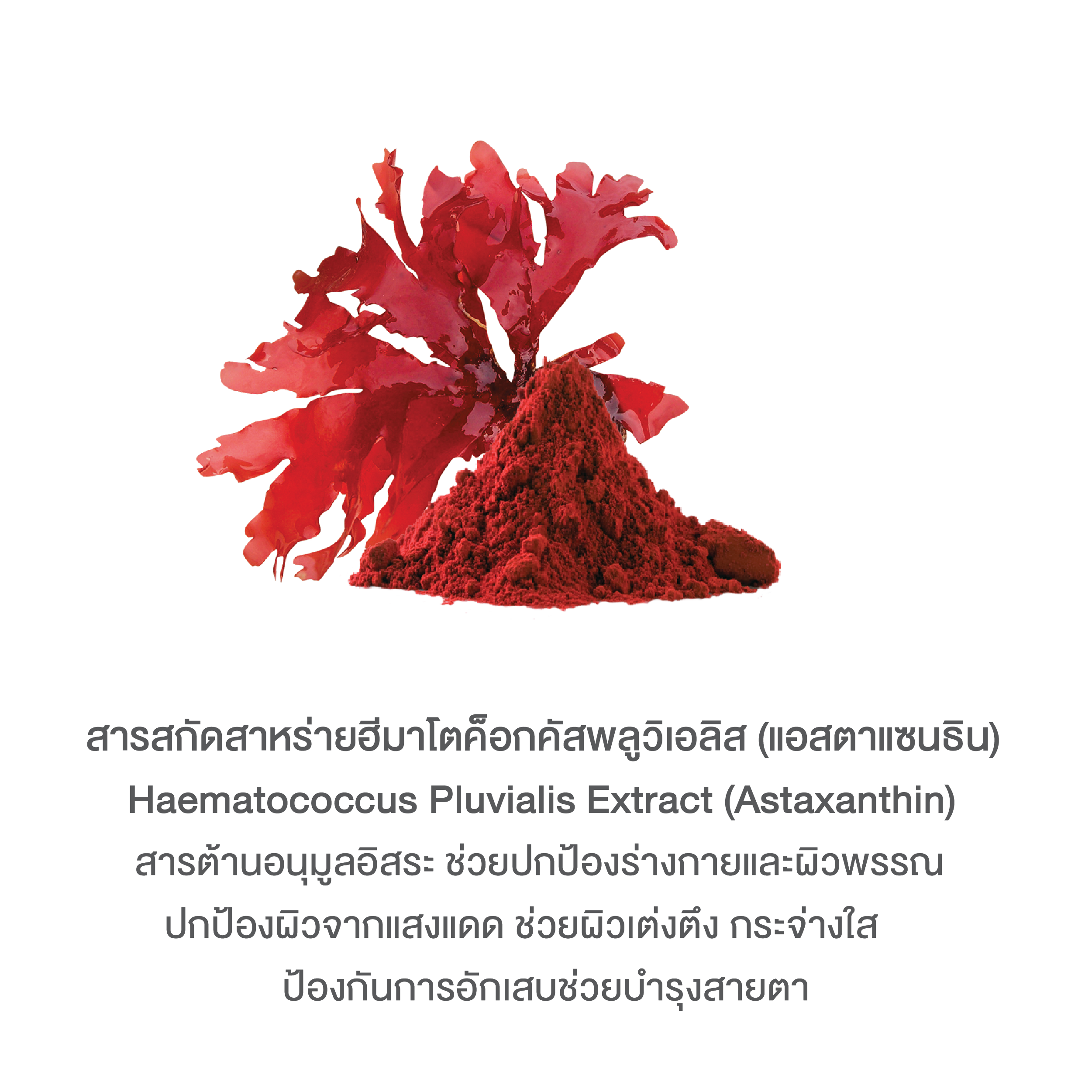 บลูม คอลลาเจน พลัส BOOM COLLAGEN PLUS