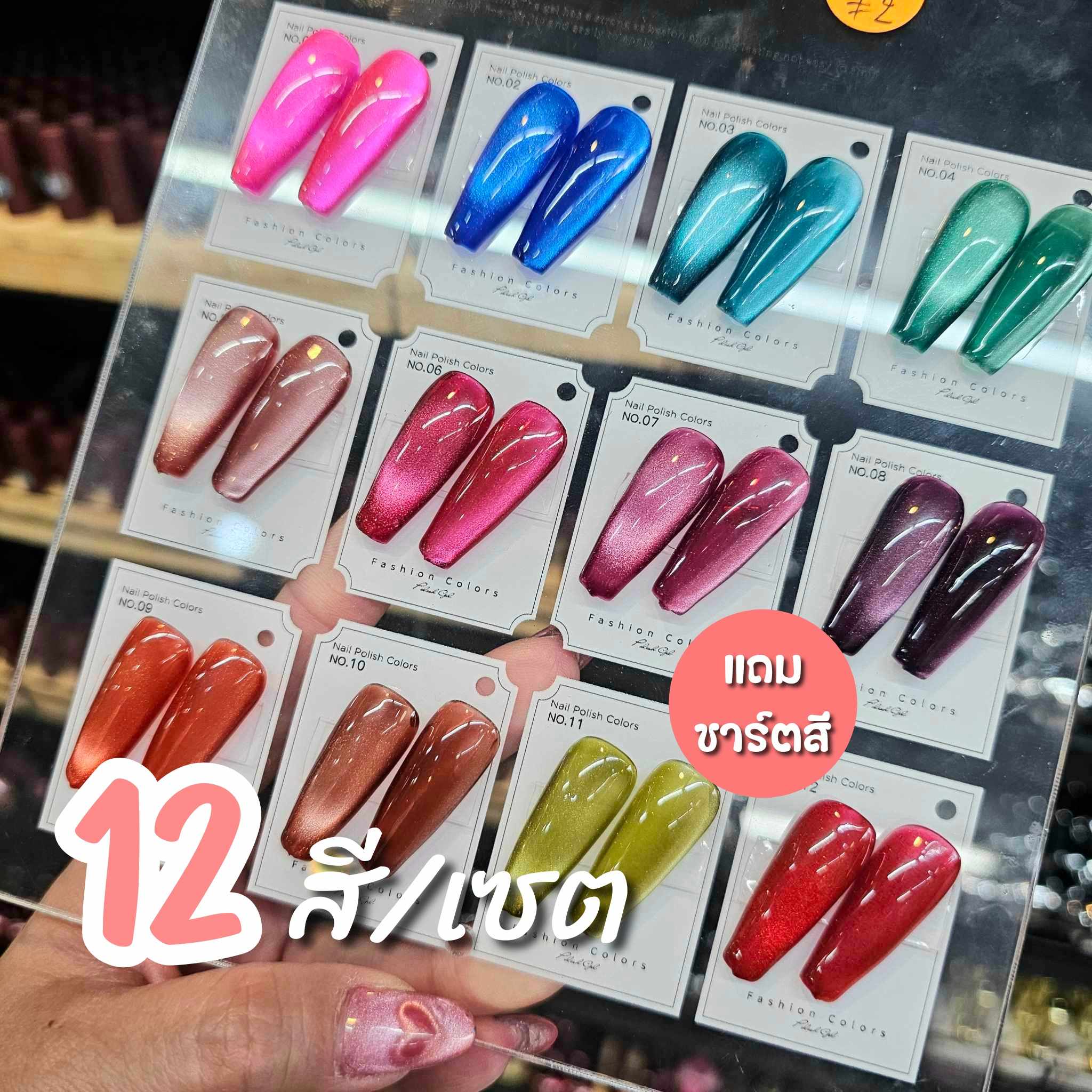 สีเจลเเคทอายเเฟลช สีเจลลูกเเก้วเซรามิก แบรนด์JIWA 12สี แถมชาร์ตสี