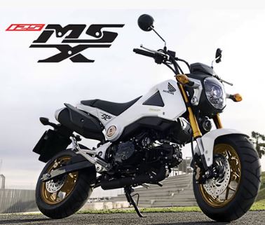 คู่มือซ่อม วงจรไฟฟ้า มอเตอร์ไซค์ MSX125 (Honda EN)