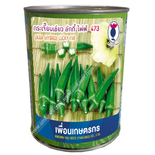 กระเจี๊ยบเขียว ลักกี้ไฟฟ์ 473