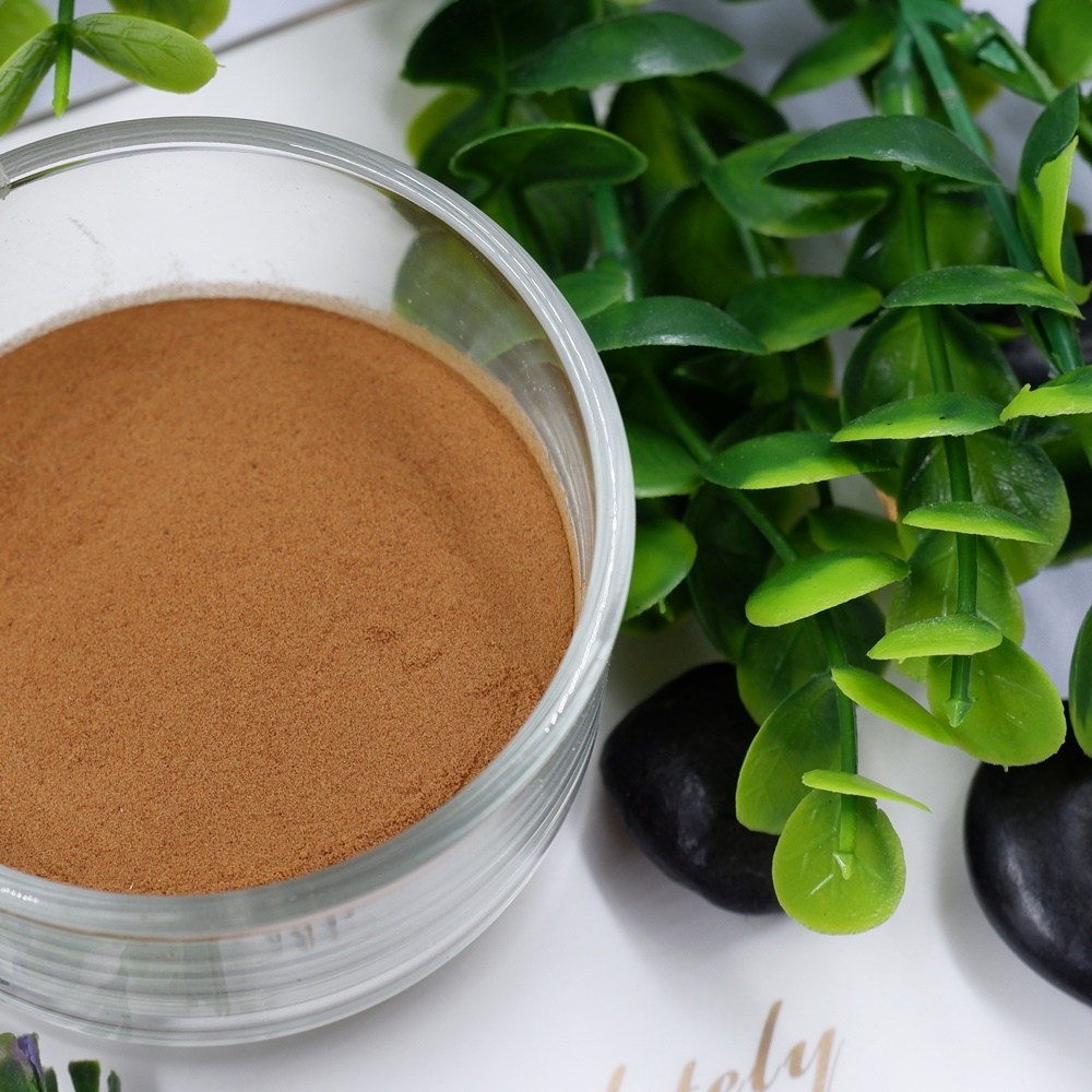 สารสกัดงาดำเข้มข้น Black Sesame Extract