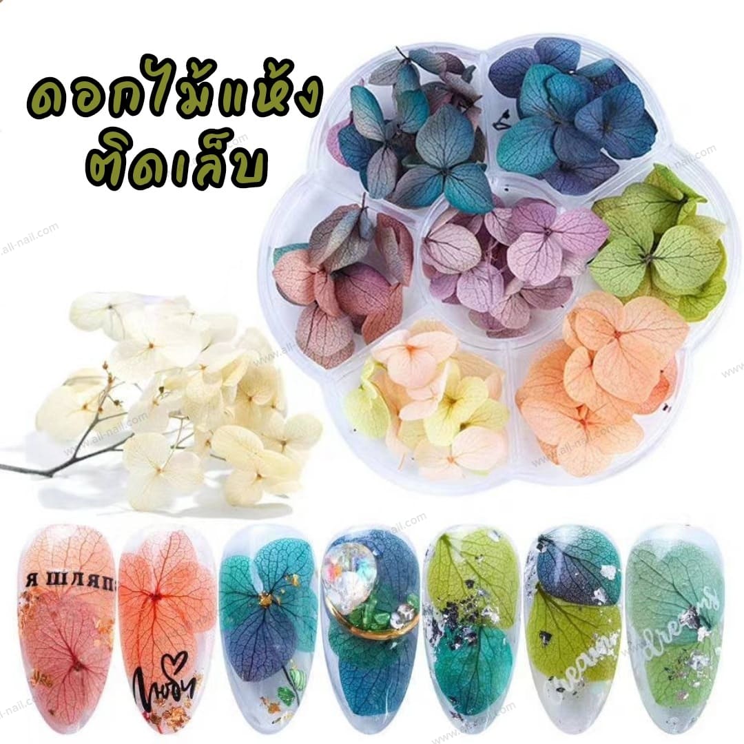 ดอกไม้แห้ง ดอกไม้ติดเล็บ สำหรับตกแต่งเล็บ