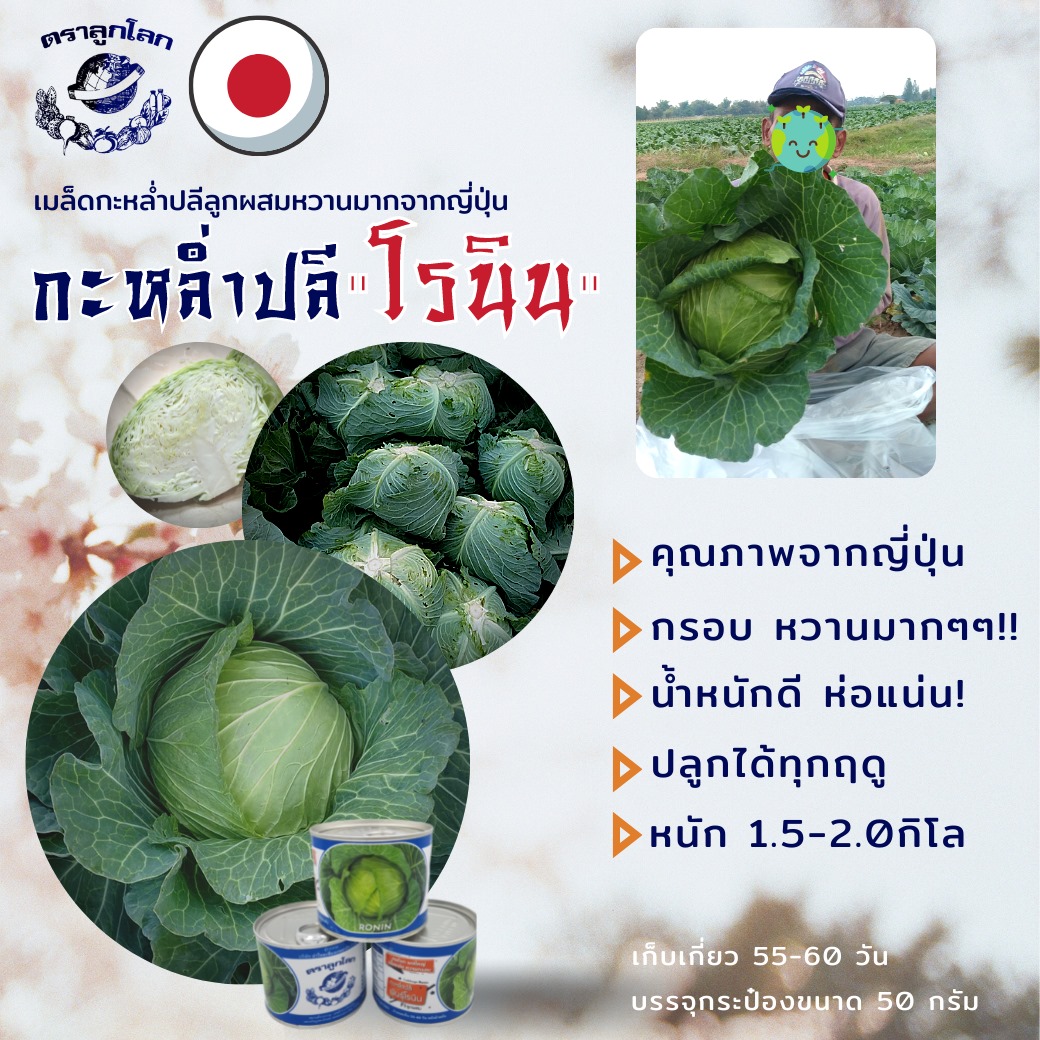 กะหล่ำปลี โรนิน RONIN ตราลูกโลก 50 กรัม