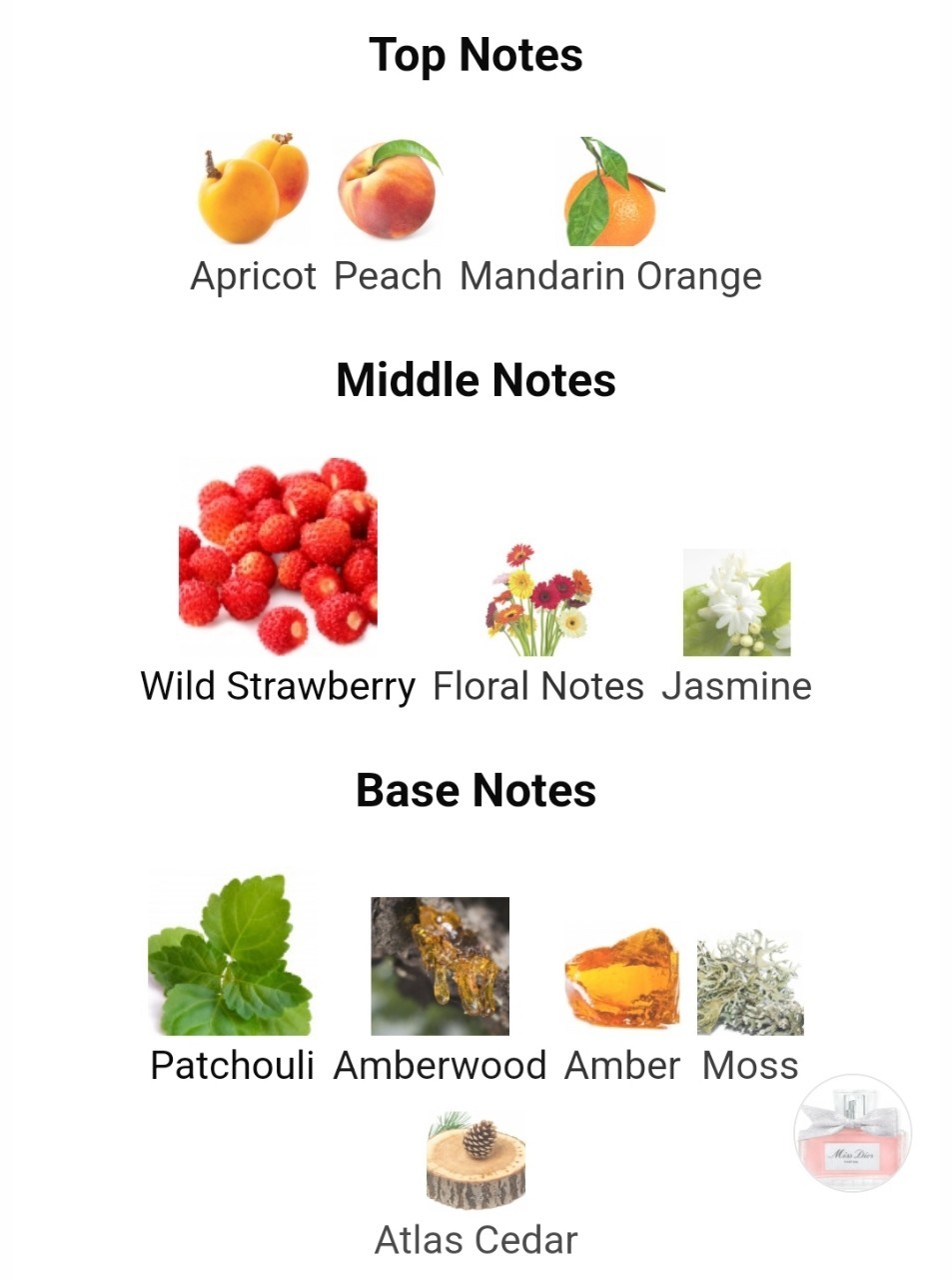 น้ำหอมแท้แบ่งขาย Christian Dior Miss Dior Parfum ปี 2024 💕Travel Size แบบทดลอง