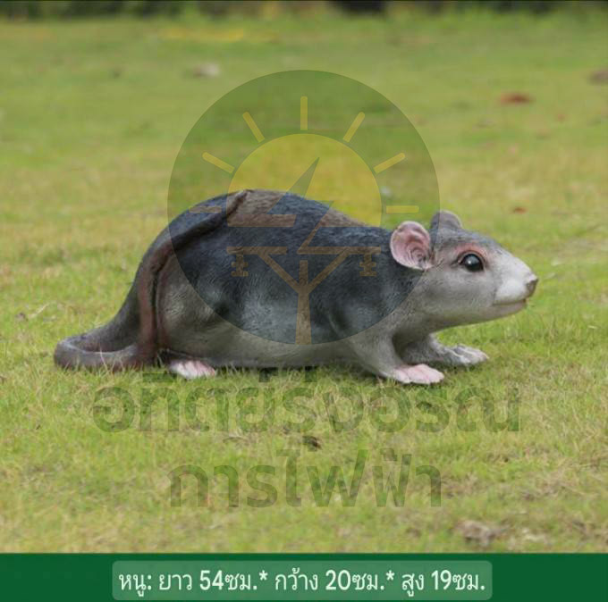 หนู