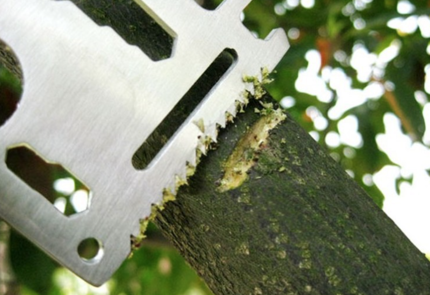 การ์ดเอนกประสงค์