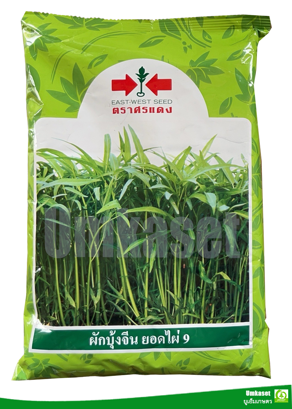 ผักบุ้งจีน ยอดไผ่9 ศรแดง 1 กิโล
