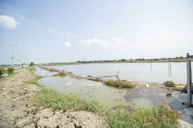 ขาย ที่ดิน นาเกลือ ติดถนนสาย 2020 ต.บ้านบ่อ อ.เมือง สมุทรสาคร