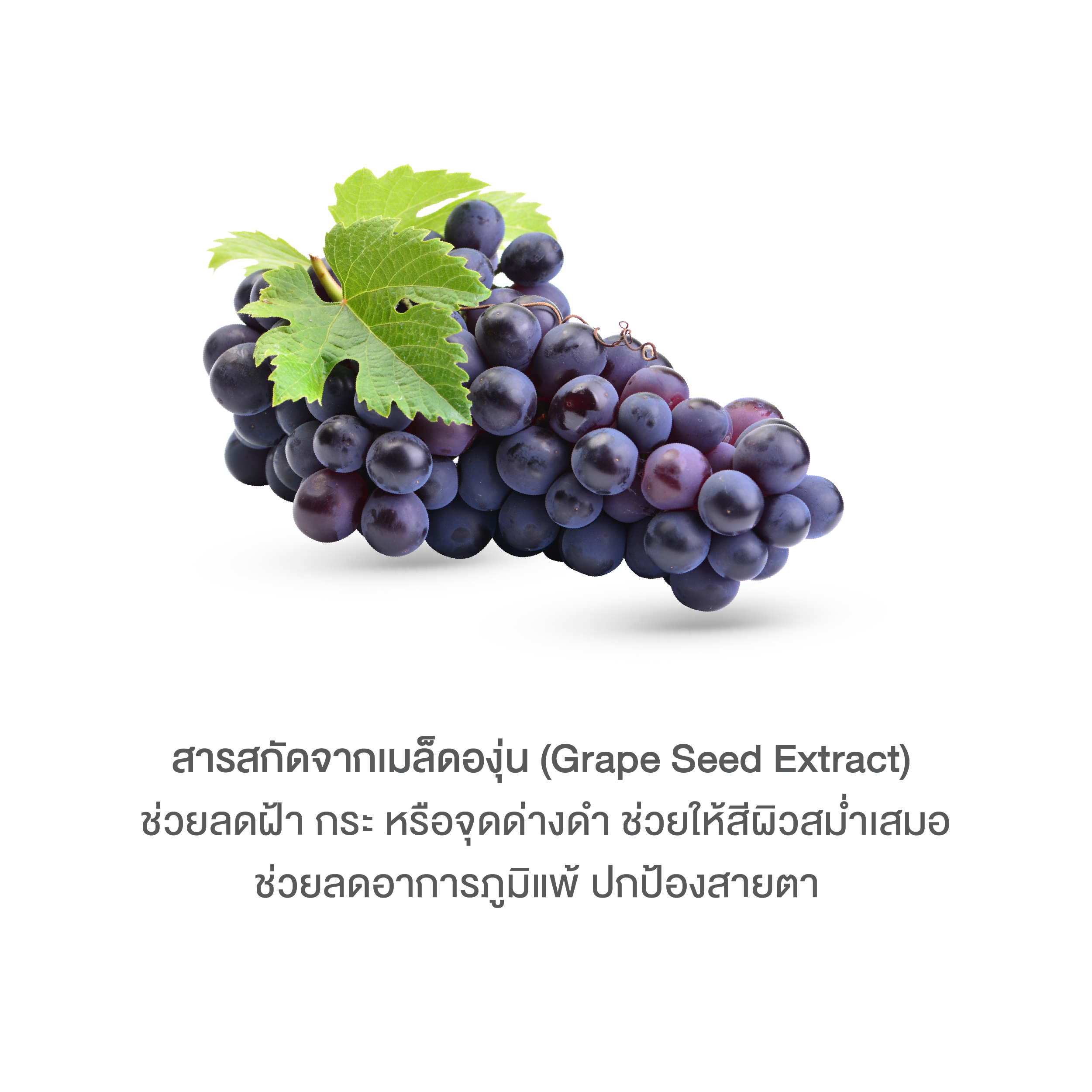 บลูม คอลลาเจน พลัส BOOM COLLAGEN PLUS