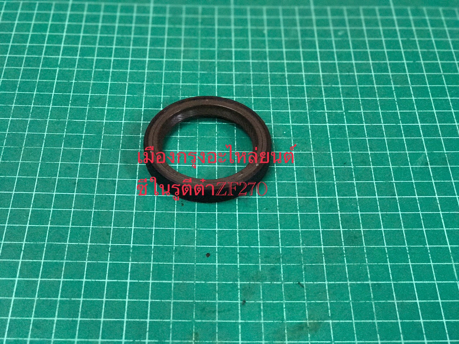 ซีลในรูตีต๋าเกียร์ZF270(อิตาลี)