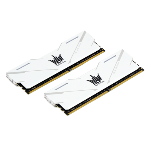 GALAX HOF OC Lab Master DDR4-3600 16G (8G*2) DDR4-3600 CL 17-18-18-38 1.35V