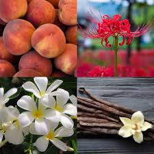 น้ำหอมแท้ Jimmy Choo I Want Choo EDP 125ml กล่องเทสเตอร์