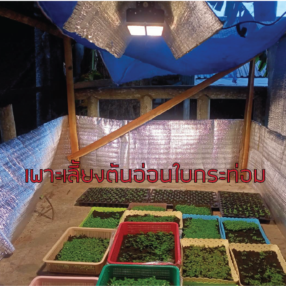 โคมไฟปลูกต้นไม้ GOD-50W LED Grow Light AC 220V ไฟปลูกต้นไม้ ต้นไม้โตเร็วทันใช้ ไฟปลูกพืช ไฟไม้ใบ ไฟปลูกมอนเตอร่า ไฟสีเหลืองทอง 3250K มี LED 660nm