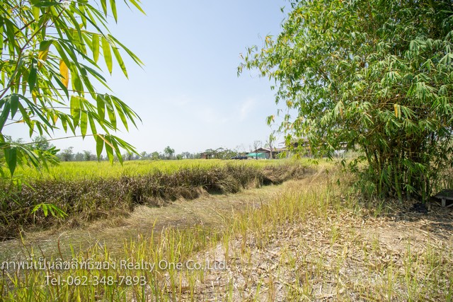 ขาย ที่ดิน แปลงสวย คลอง 15 ถนนตลาดต้นไม้ รังสิต นครนายก