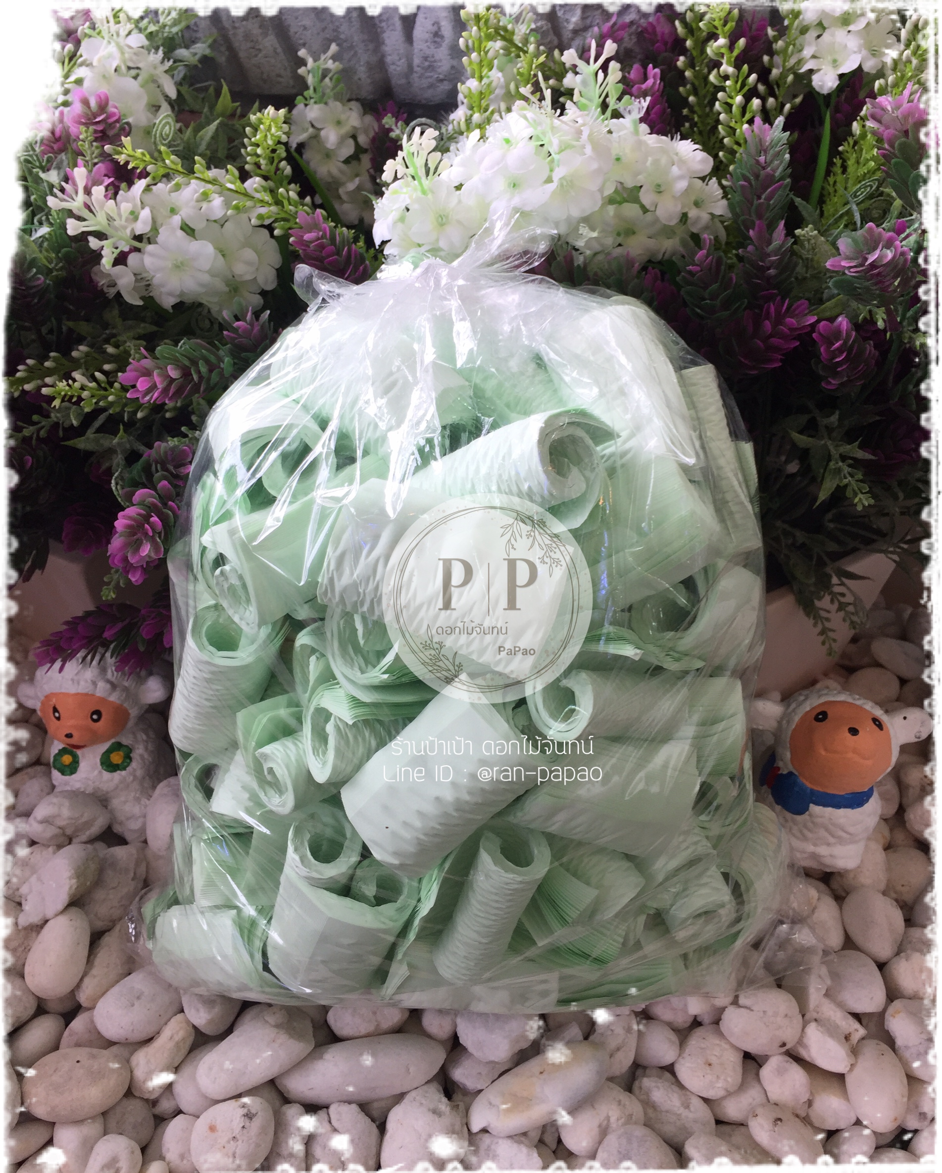 กลีบดอกไม้จันทน์ กลีบอัด สีเขียวอ่อน 1 กก.