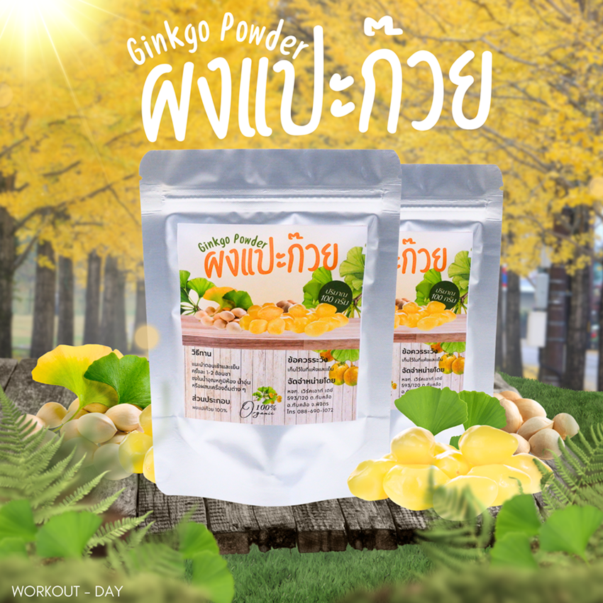 ผงแปะก๊วย เมล็ดแปะก๊วย Ginkgo seeds