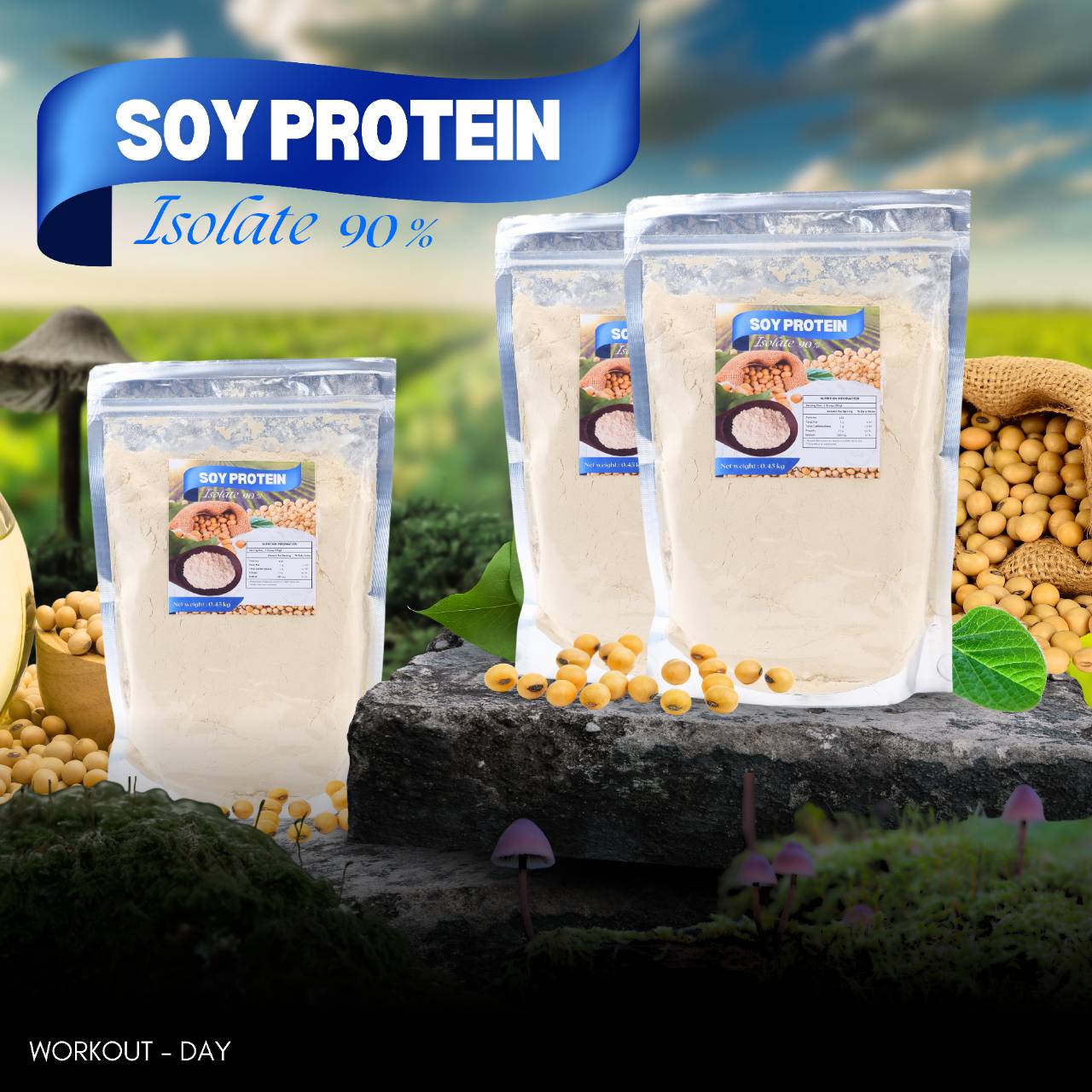 ซอยโปรตีน SoyProtein Isolate 90 ขนาด 450 กรัม