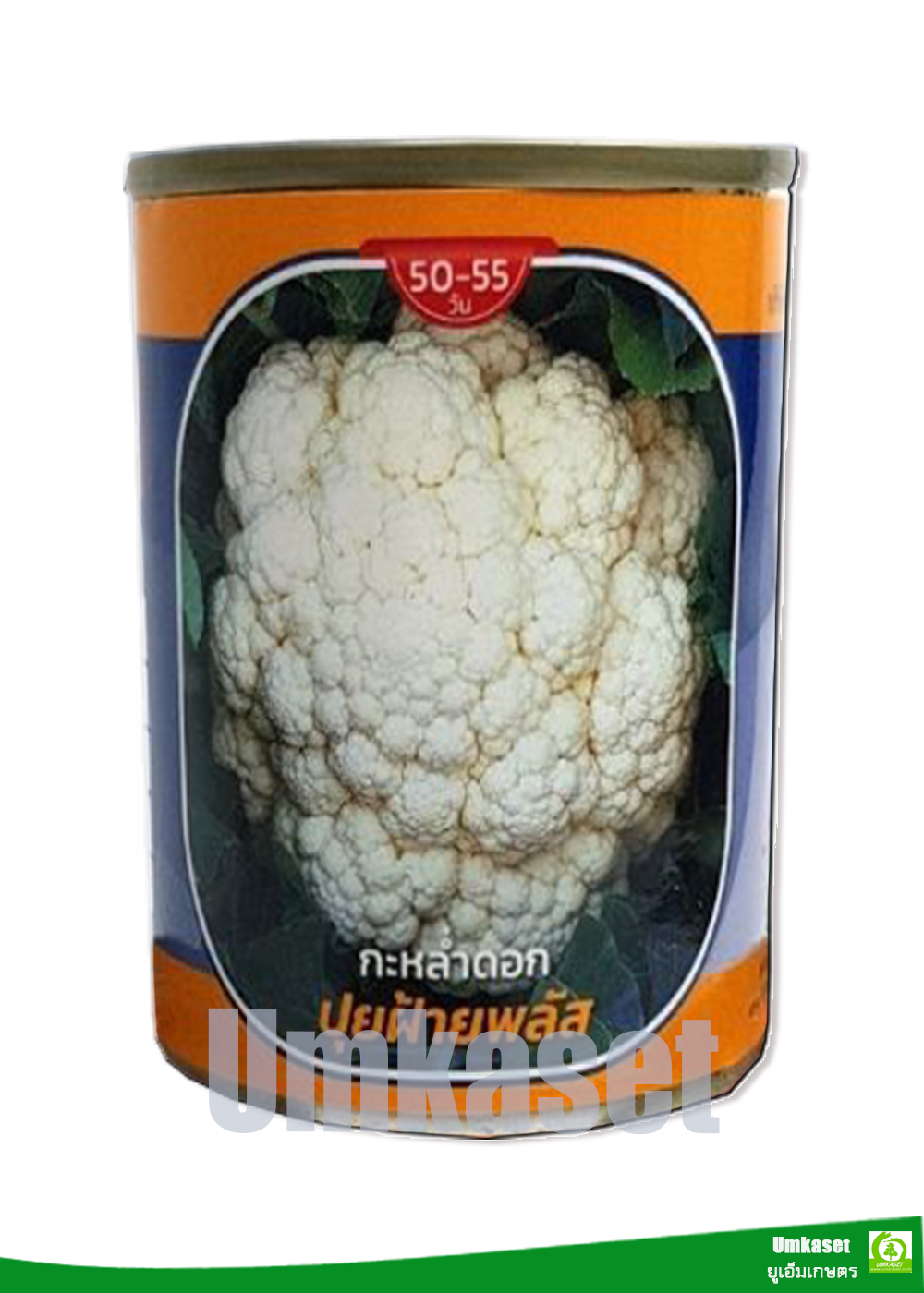 กะหล่ำดอก ปุยฝ้ายพลัส ตราลูกโลก