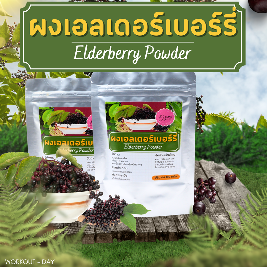 ผงเอลเดอร์เบอร์รี่ Elderberry Powder เกรดสารสกัด