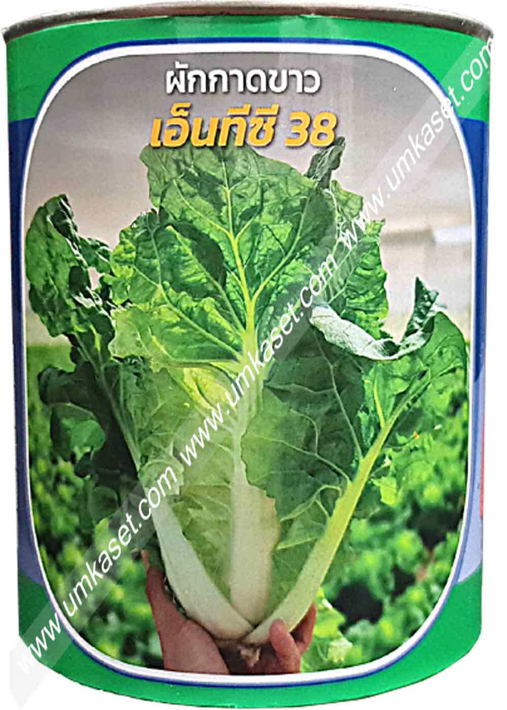 ผักกาดขาว เอ็นทีซี38 400 กรัม