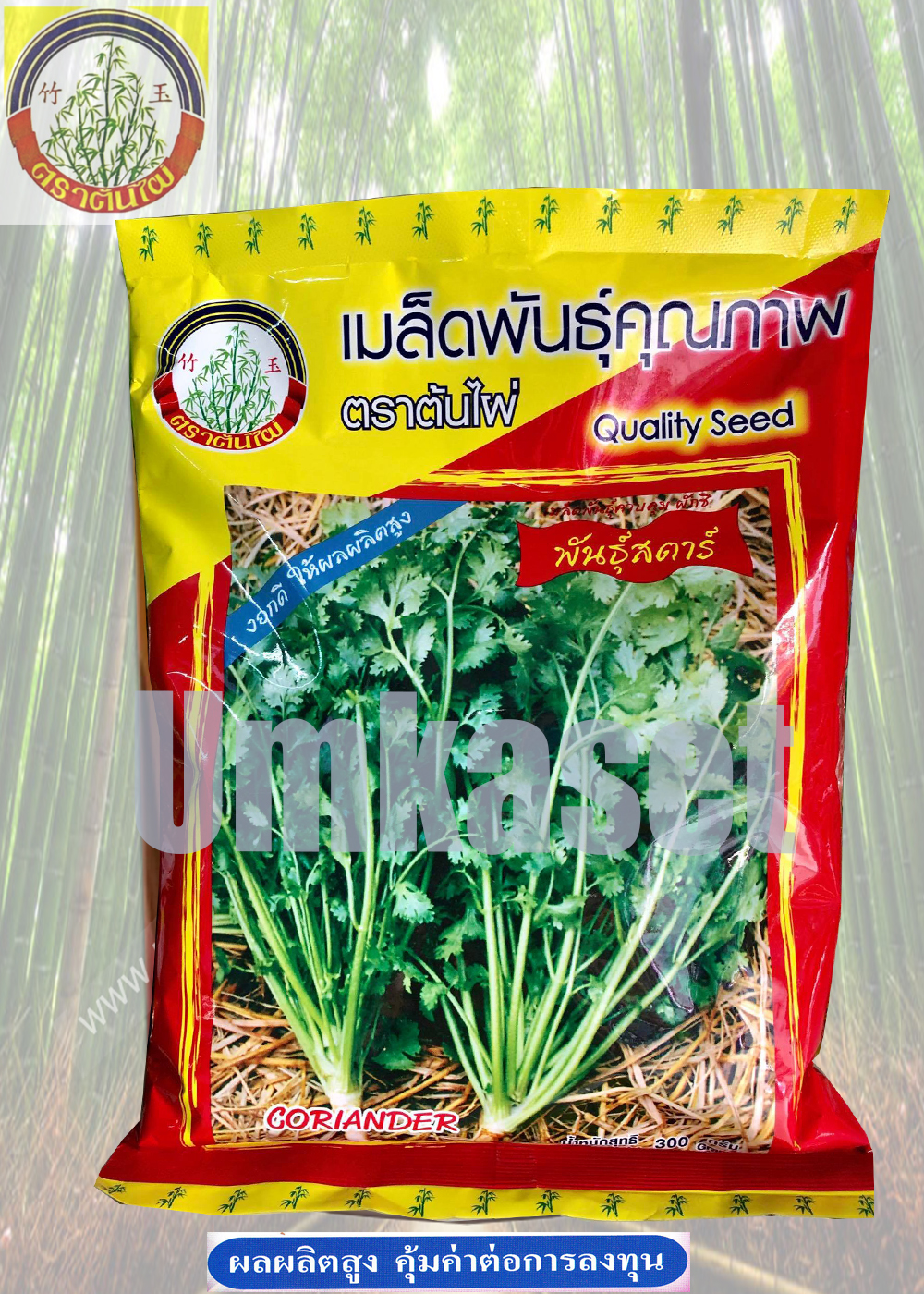 ผักชีสตาร์ ตราต้นไผ่ 300 กรัม