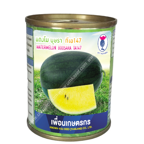 แตงโม บุษรา ทีเอ147 เพื่อนเกษตร