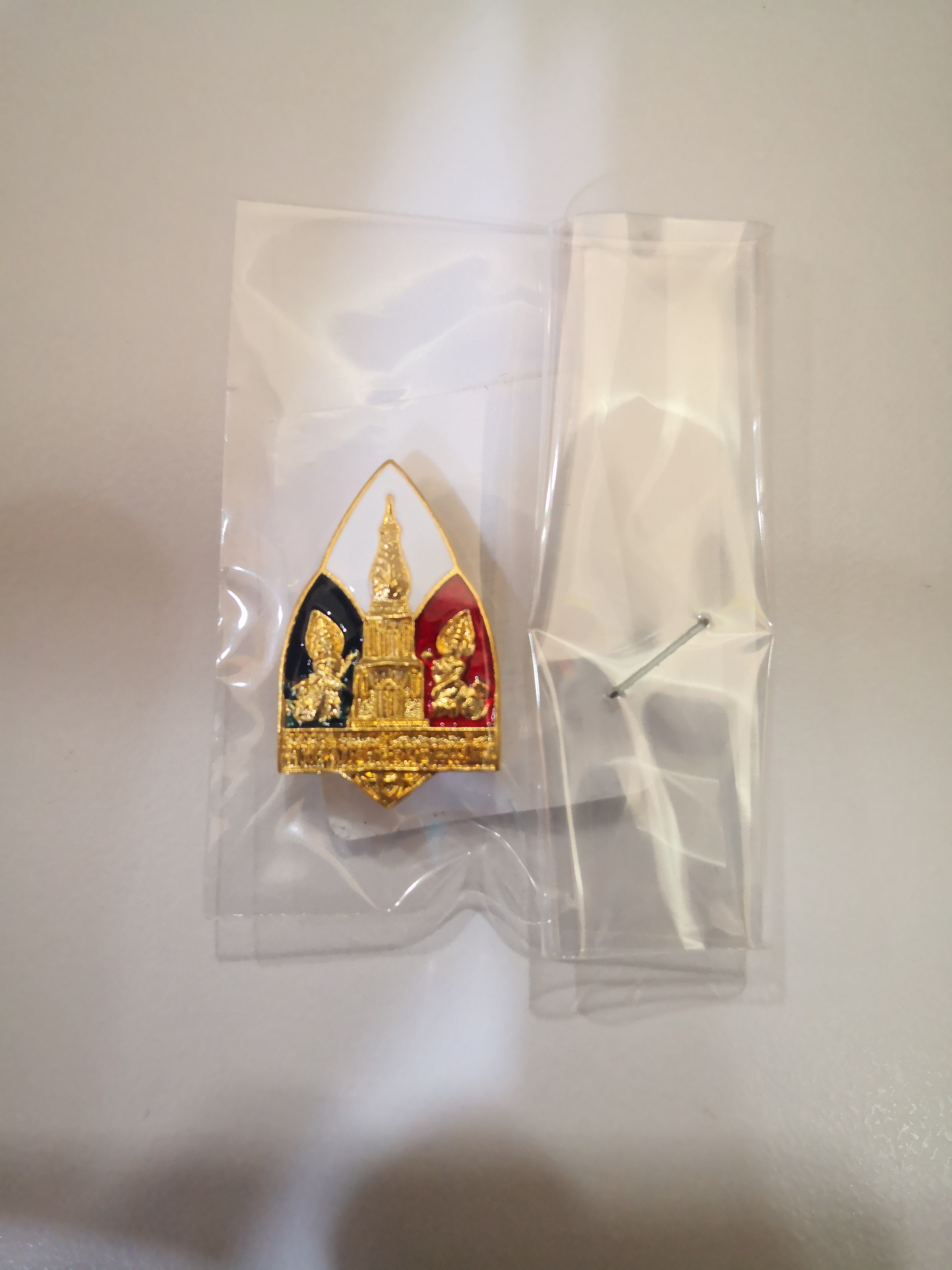 เข็มกลัดตราธงชาติ (พยาบาล)