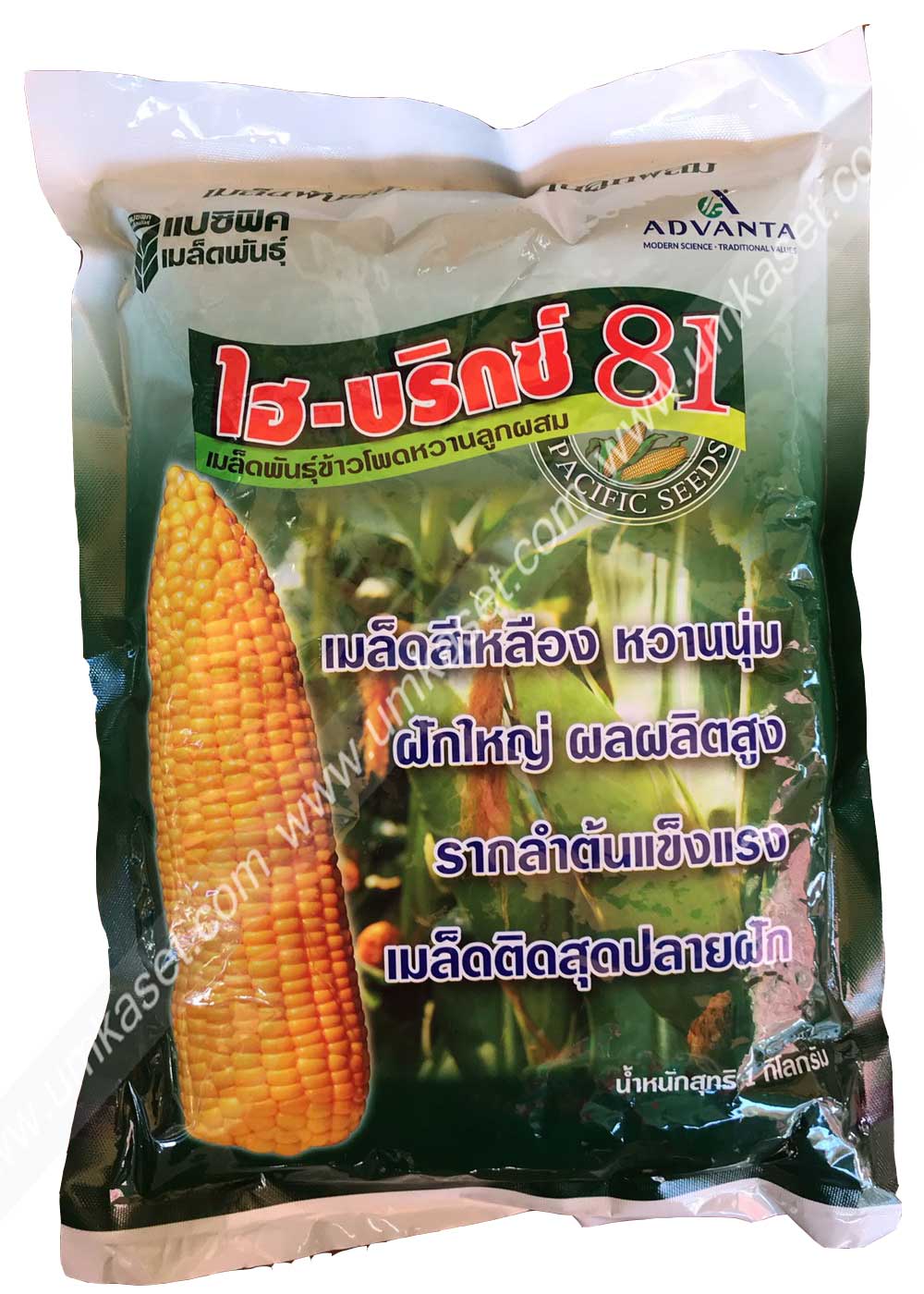 ข้าวโพดหวาน ไฮบริกซ์81 (1 กิโล)