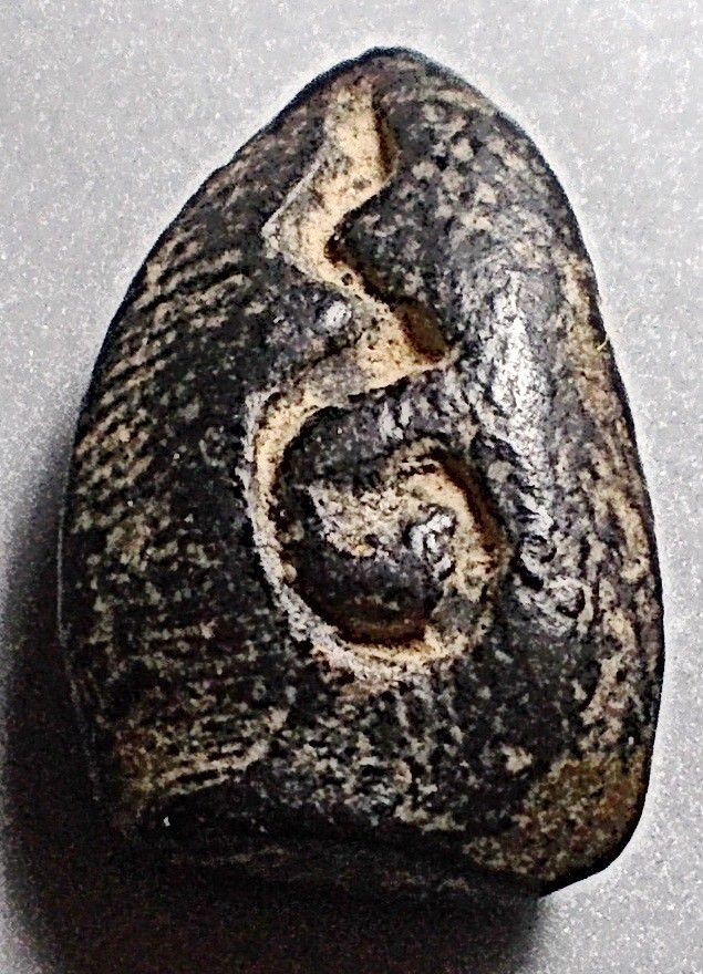 เม็ดน้อยหน่า กรุวัดศาลาปูน อยุธยา