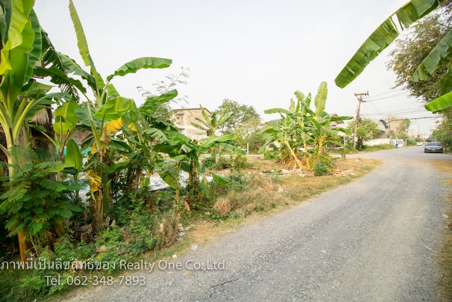 ขาย ที่ดิน ถมแล้ว แปลงมุม ซอยปัญชลีวิลล์ บางปรอก อ.เมือง ปทุมธานี