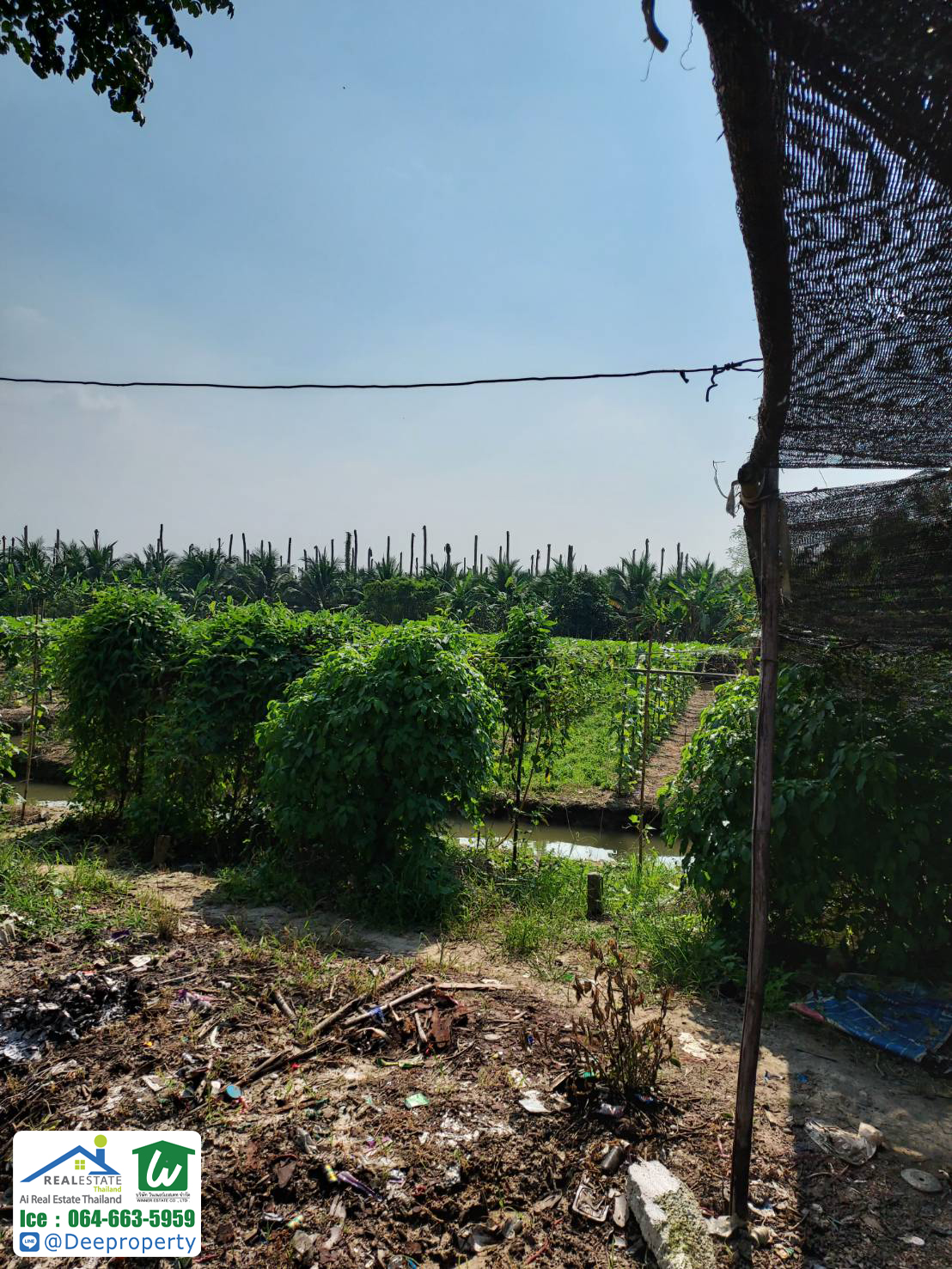 🏡 ขายที่ดินเปล่า ราชบุรี 6-2-96.6 ไร่ (2,696.6 ตรว) อ. ดำเนินสะดวก จ.ราชบุรี ทำการเกษตร ทำสวน ราคาถูก!