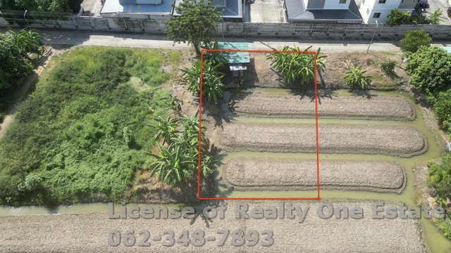 ขายที่ดินสวนผัก ปทุมธานี ใกล้วัดหนองปรง ทำเลทอง ราคานี้หายากสุดๆ