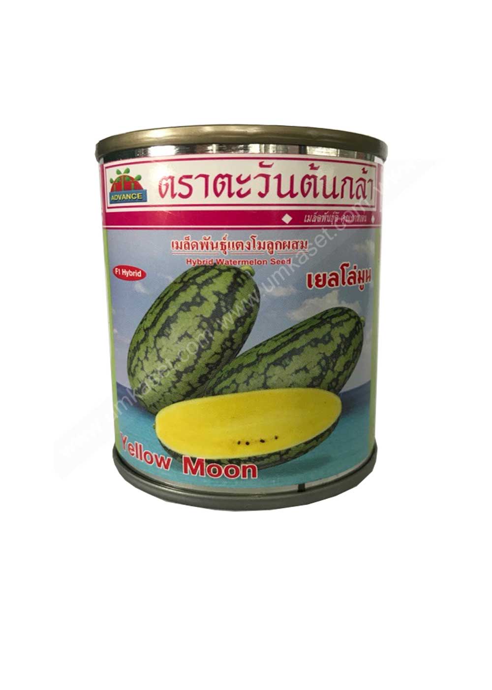 แตงโมตอร์ปิโดเนื้อเหลือง เยลโล่มูน 40 กรัม