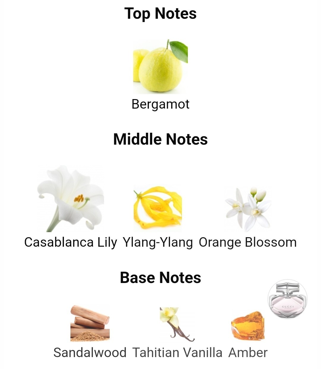 น้ำหอมแท้แบ่งขาย Gucci Bamboo EDP 💕Travel Size แบบทดลอง