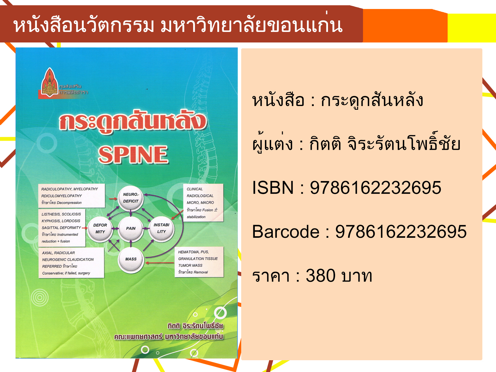 กระดูกสันหลัง SPINE