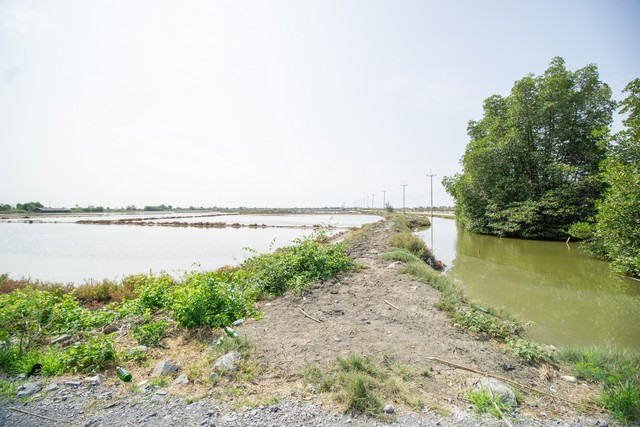 ขาย ที่ดิน นาเกลือ ติดถนนสาย 2020 ต.บ้านบ่อ อ.เมือง สมุทรสาคร