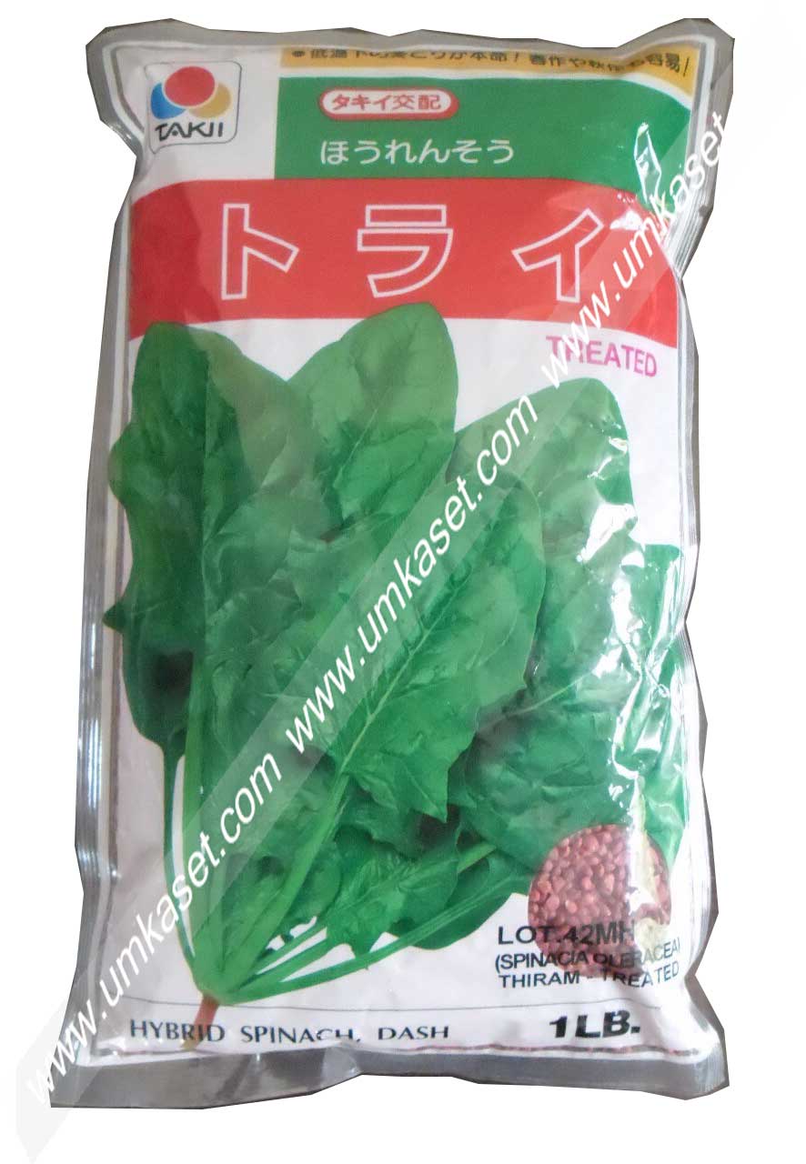 ปวยเล้ง ป้อปอาย 1 ปอนด์