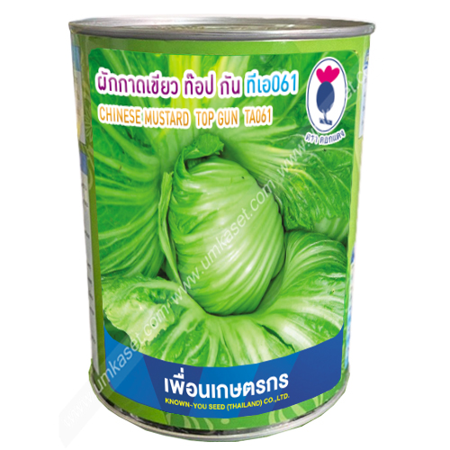ผักกาดเขียวปลี ท็อปกัน TA061