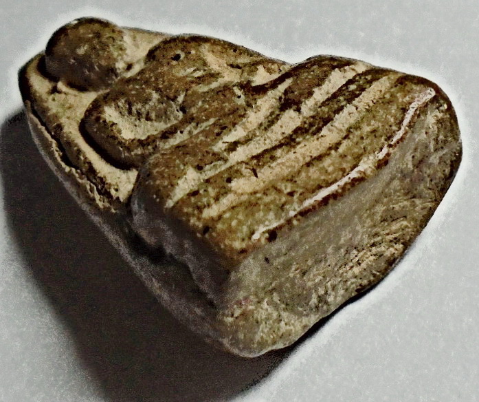 พระรูปเหมือนครูบาศรีวิชัย รุ่น อัฐิหลังย่น (ครูบาหลังย่น) วัดจามเทวี จ.ลำพูน