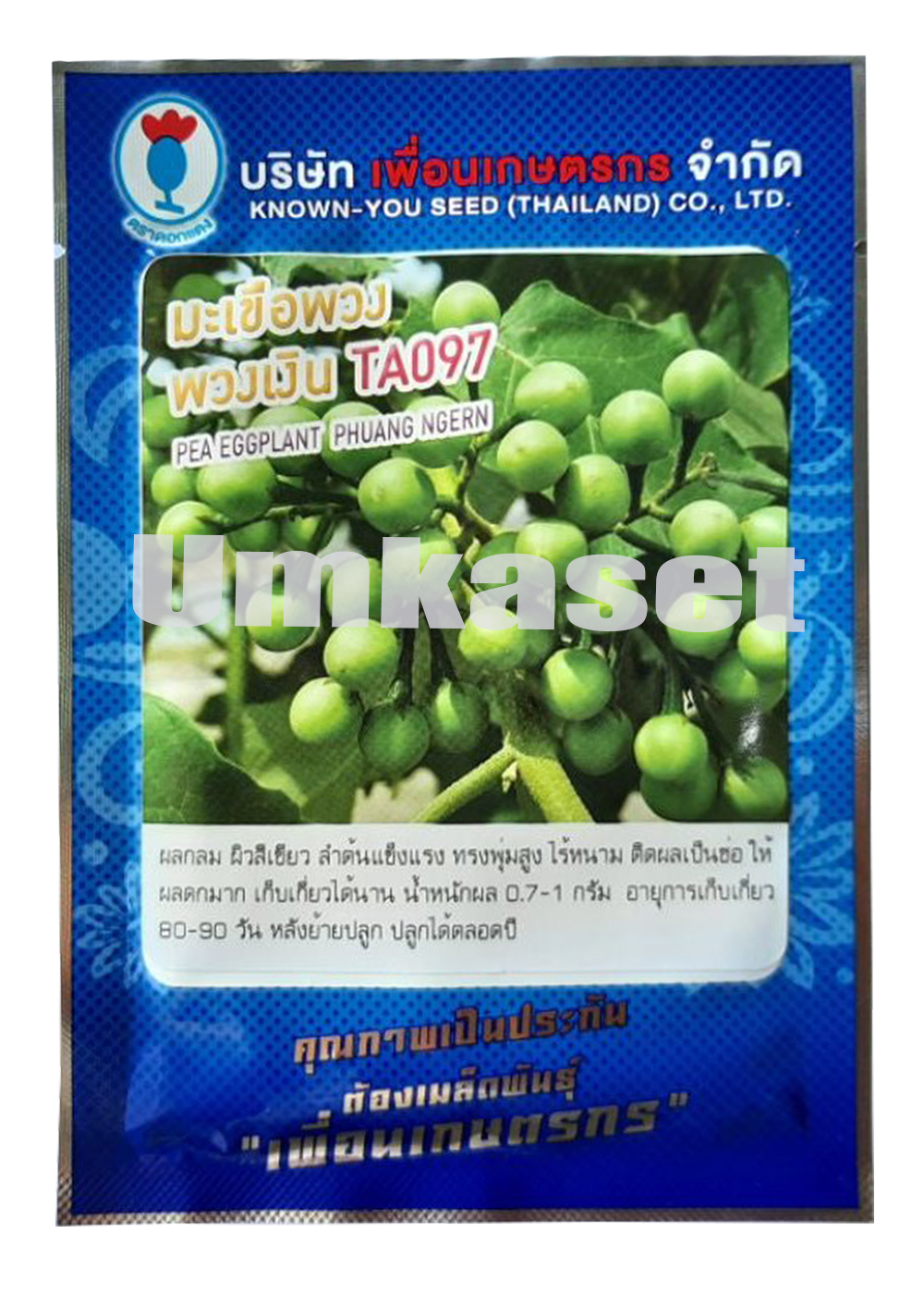 มะเขือพวง พวงเงิน TA097 ( 20 กรัม )