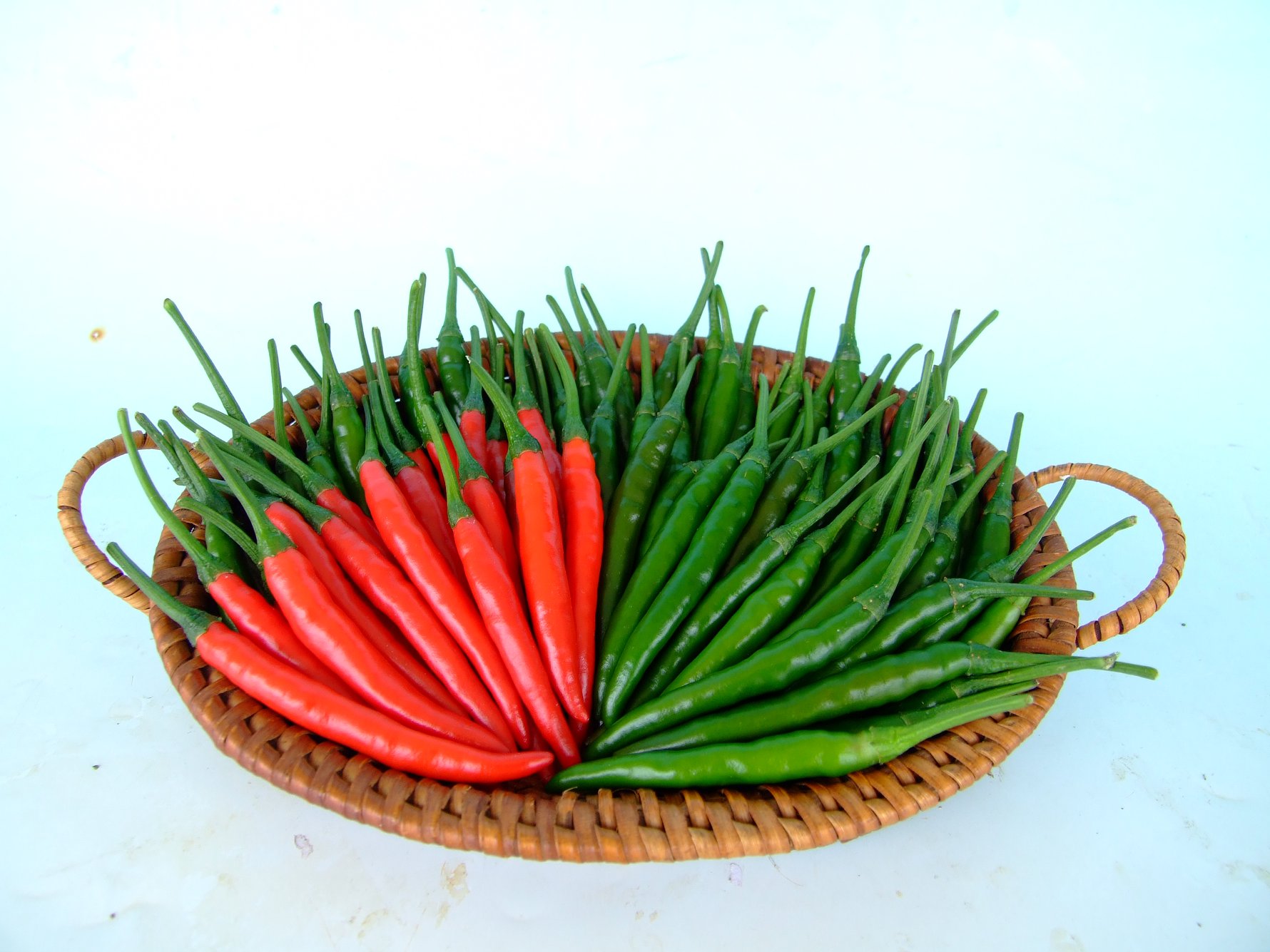 พริกขี้หนู เรดฮอท TA100 เพื่อนเกษตรกร