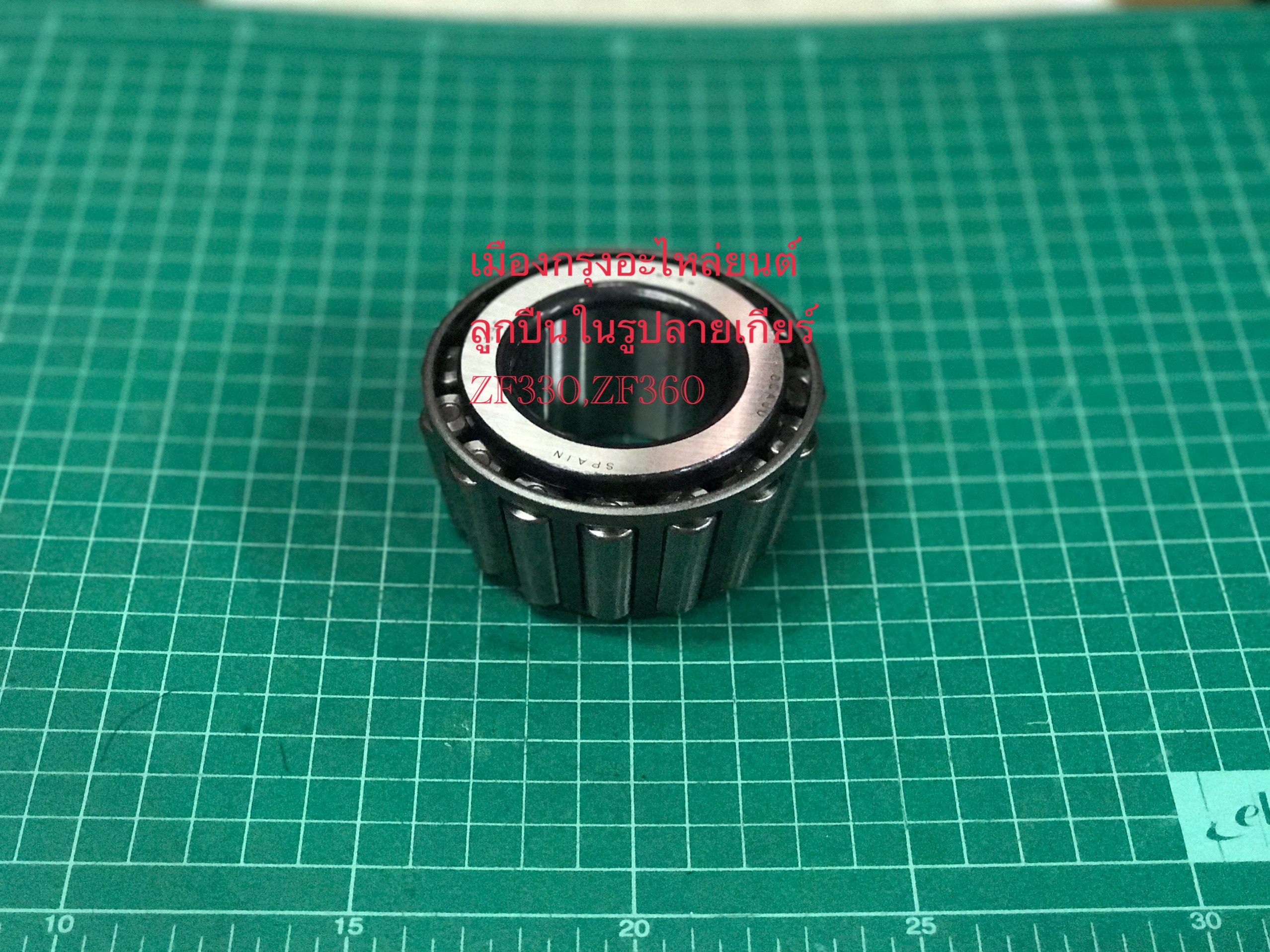 ลูกปืนในรูปลายเกียร์ZF330(อิตาลี)