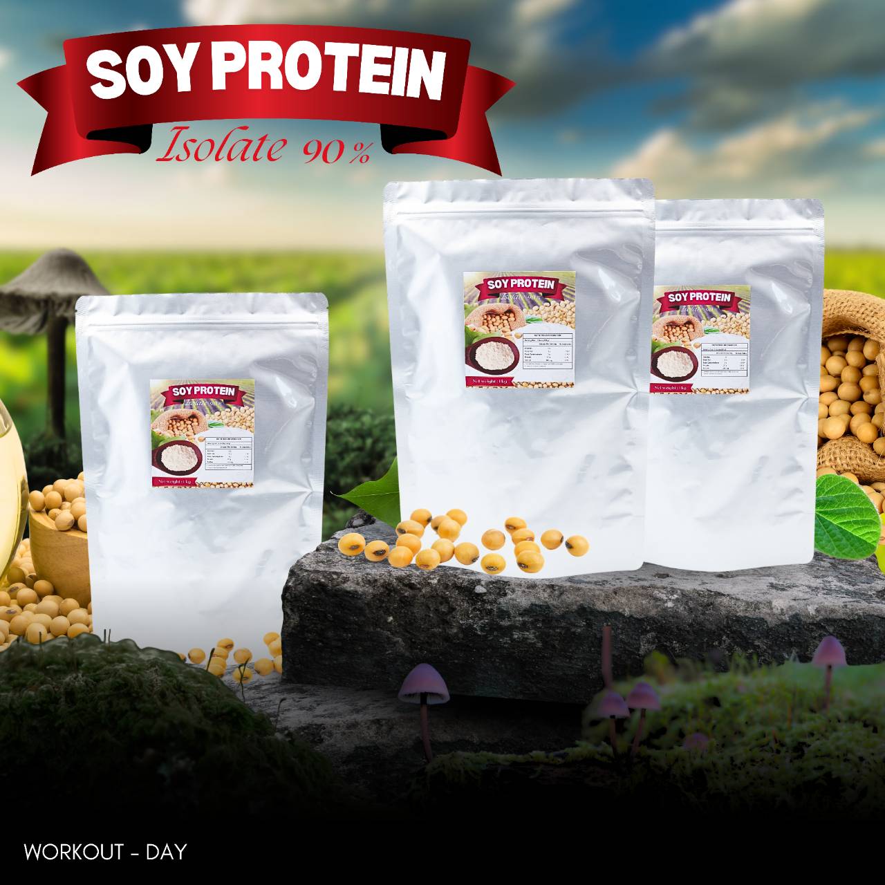 ซอยโปรตีน SoyProtein Isolate 90 1กก.