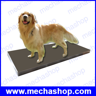 เครื่องชั่งสัตว์ เครื่องชั่งสัตว์เลี้ยง เครื่องชั่งน้ำหนักสัตว์ ขั่งน้ำหนักได้ 300kg ค่าละเอียด 0.05kg แท่นชั่งเหล็กขนาด 510x1100mm ยี่ห้อ VET SCALE