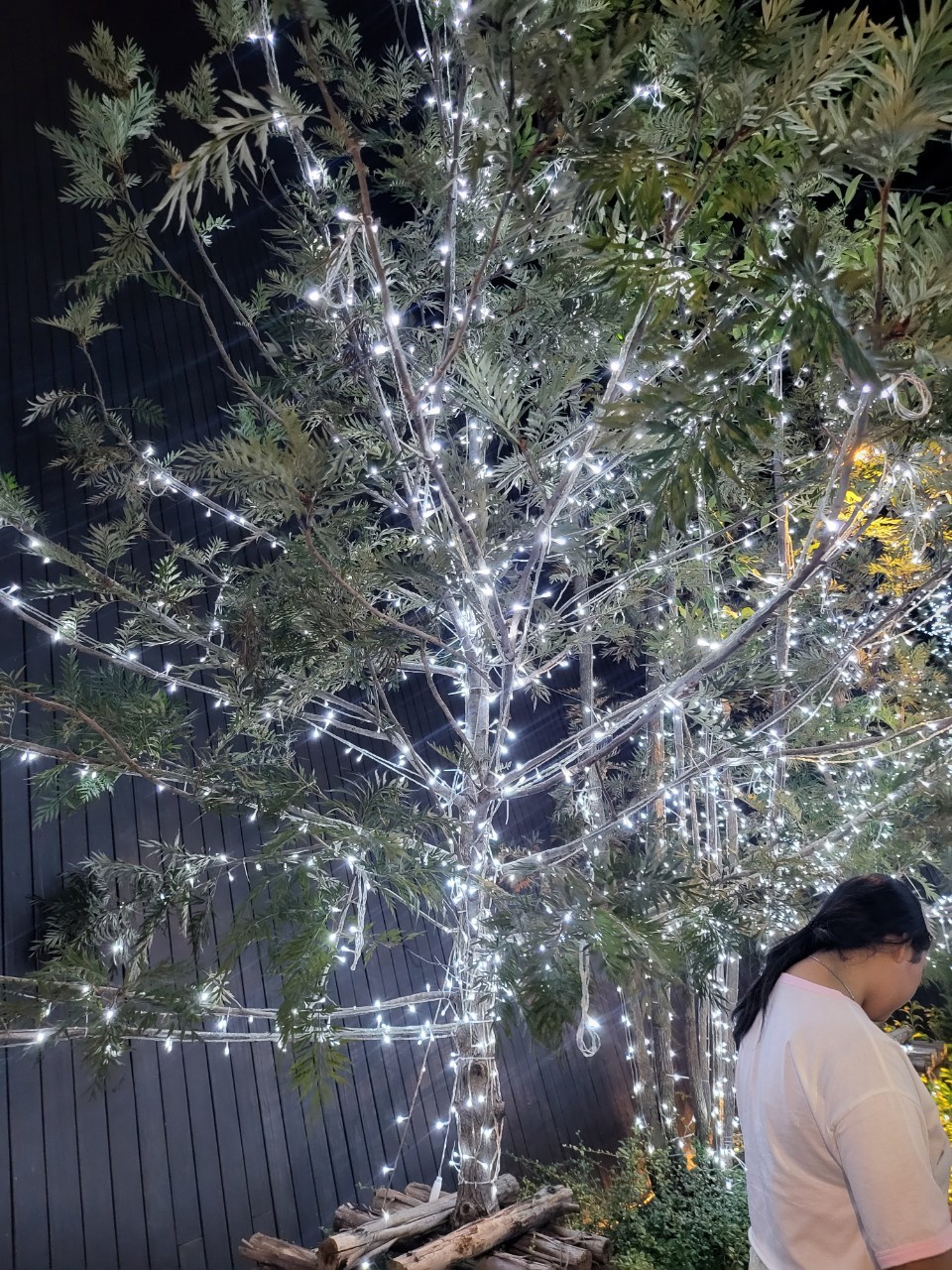 ตกแต่งคริสต์มาส ประดับไฟต้นไม้เพิ่มเติมแสงสว่างให้สถานที่ในวันคริสต์มาสยอดนิยม